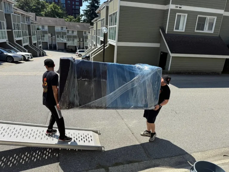 photo_2025-09-17_14-48-40