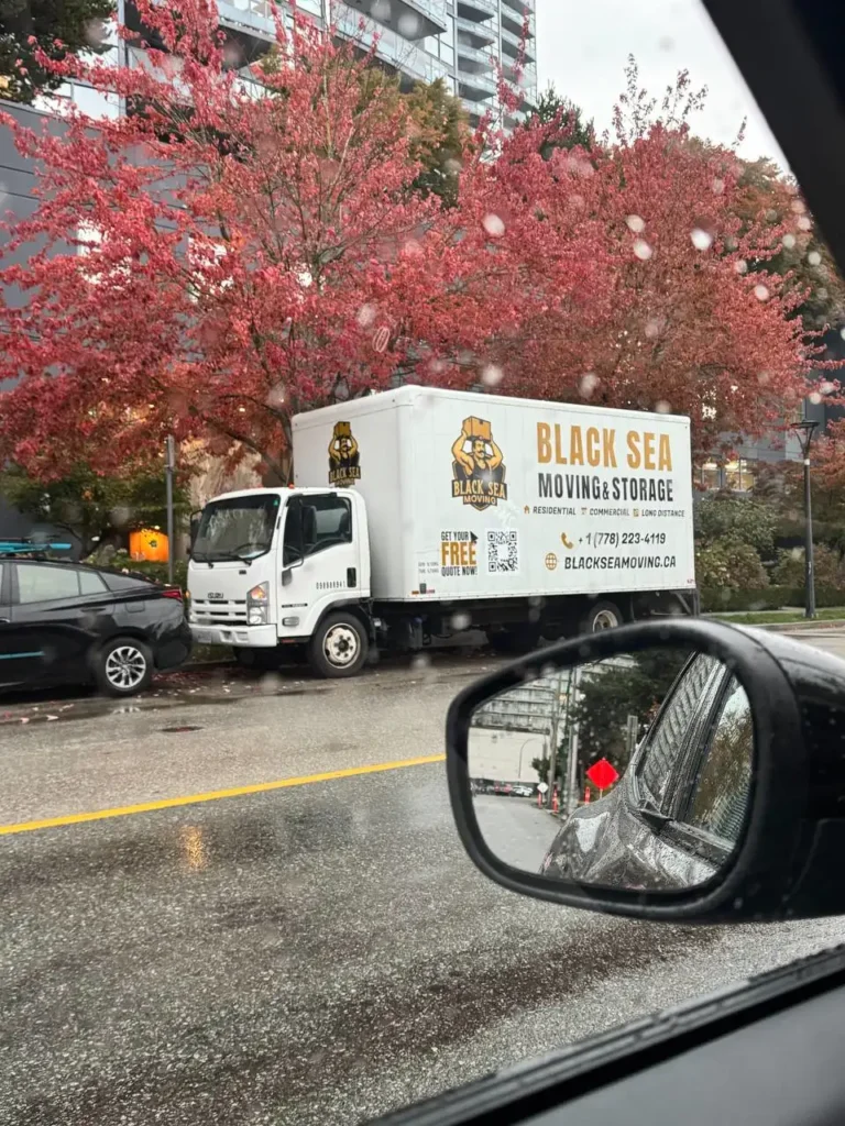 photo_2025-11-13_01-46-57