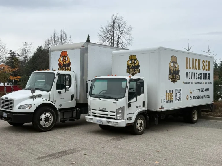 photo_2025-11-13_01-46-59