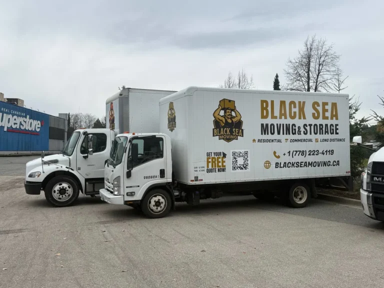 photo_2025-11-13_01-47-00