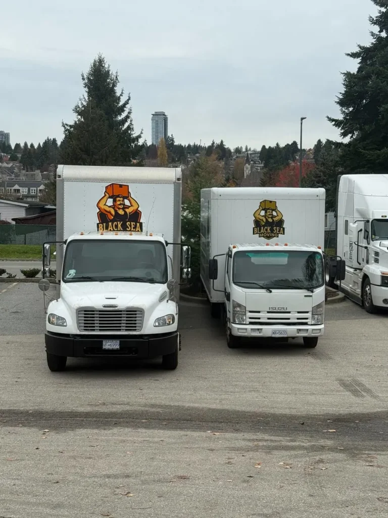 photo_2025-11-13_01-47-03